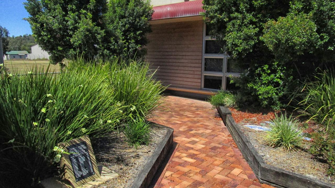 The back of Reg McCallum park