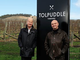 Tolpuddle Vineyard