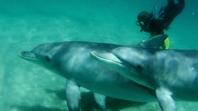 Rockingham Wild Encounters, Rockingham Beach, Western Australia