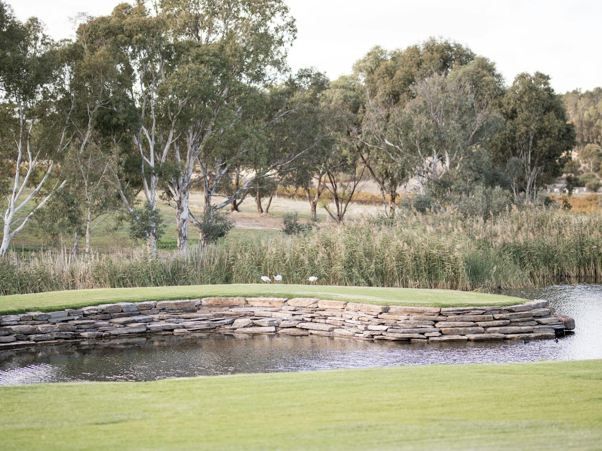 Wetlands