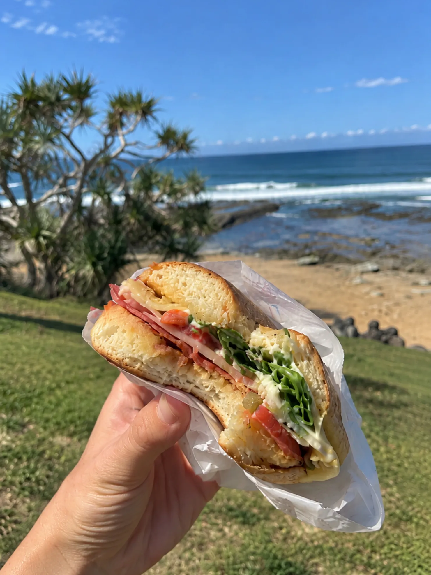 Bagel at Kings Beach