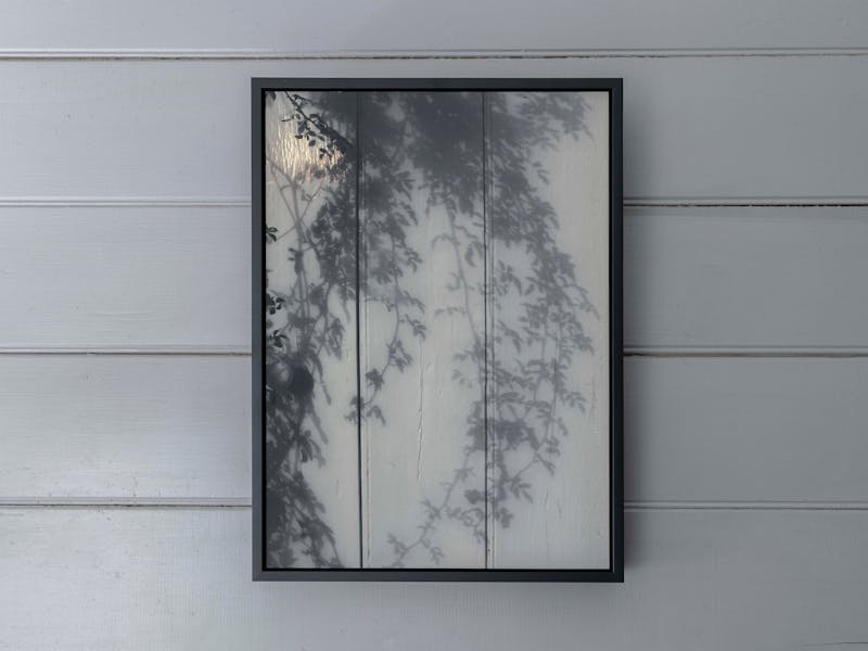Tamara Dean, Transience, photograph.