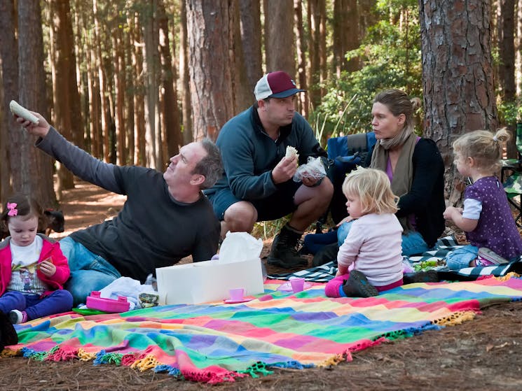 Picnic in The Pines, Olney State Forest