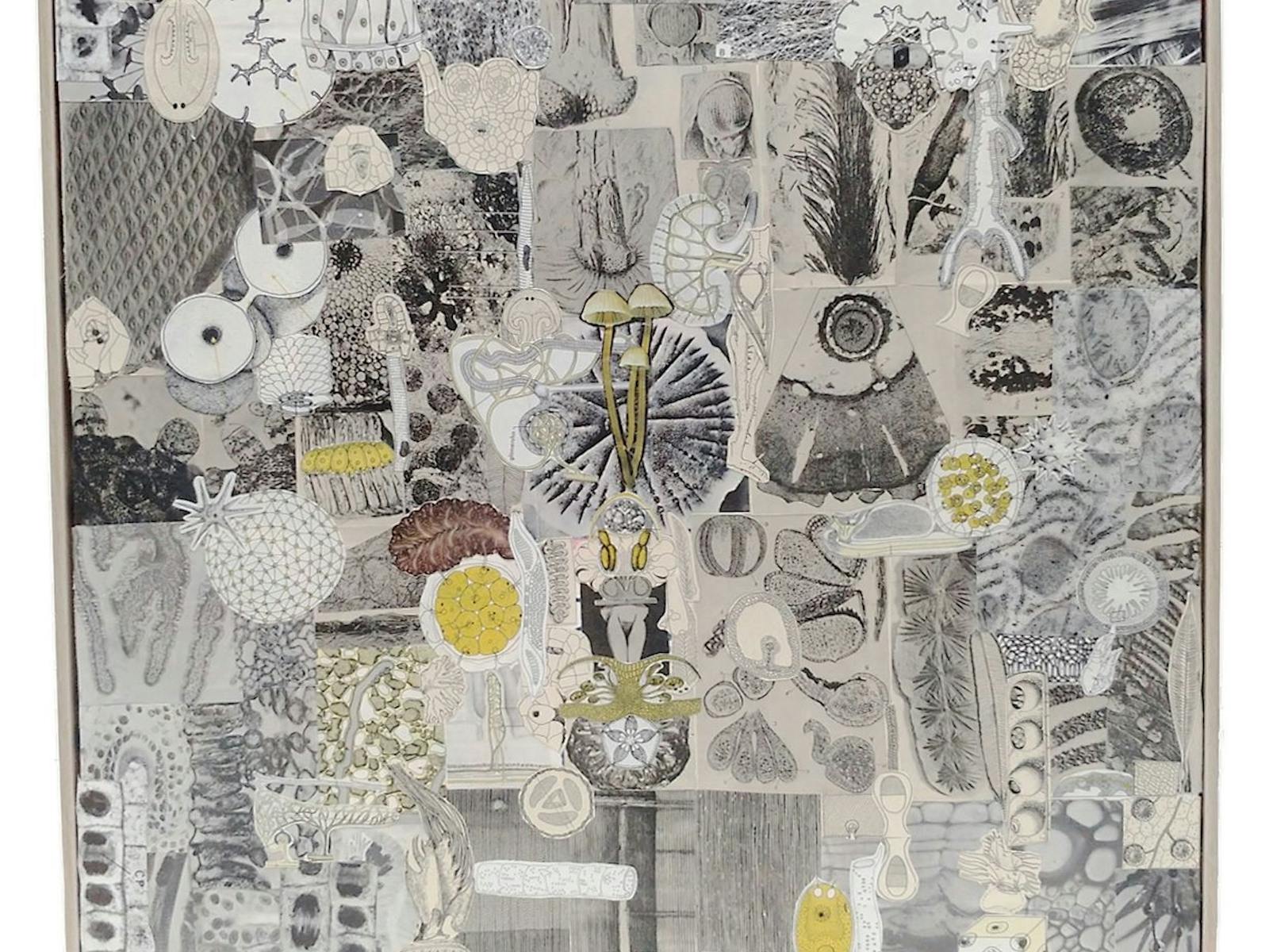 Intracellular Journey_Carolyn Teo
