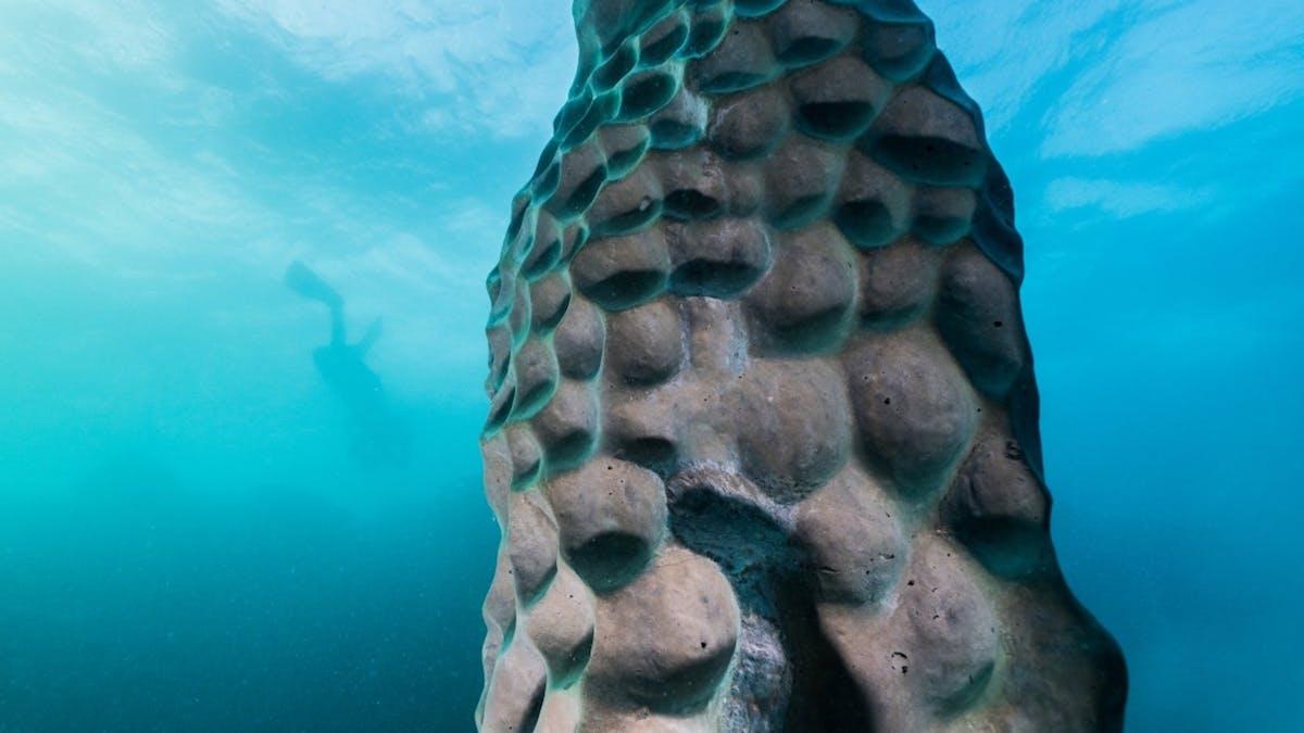 Ocean Sentinels / MOUA / Museum of Underwater Art