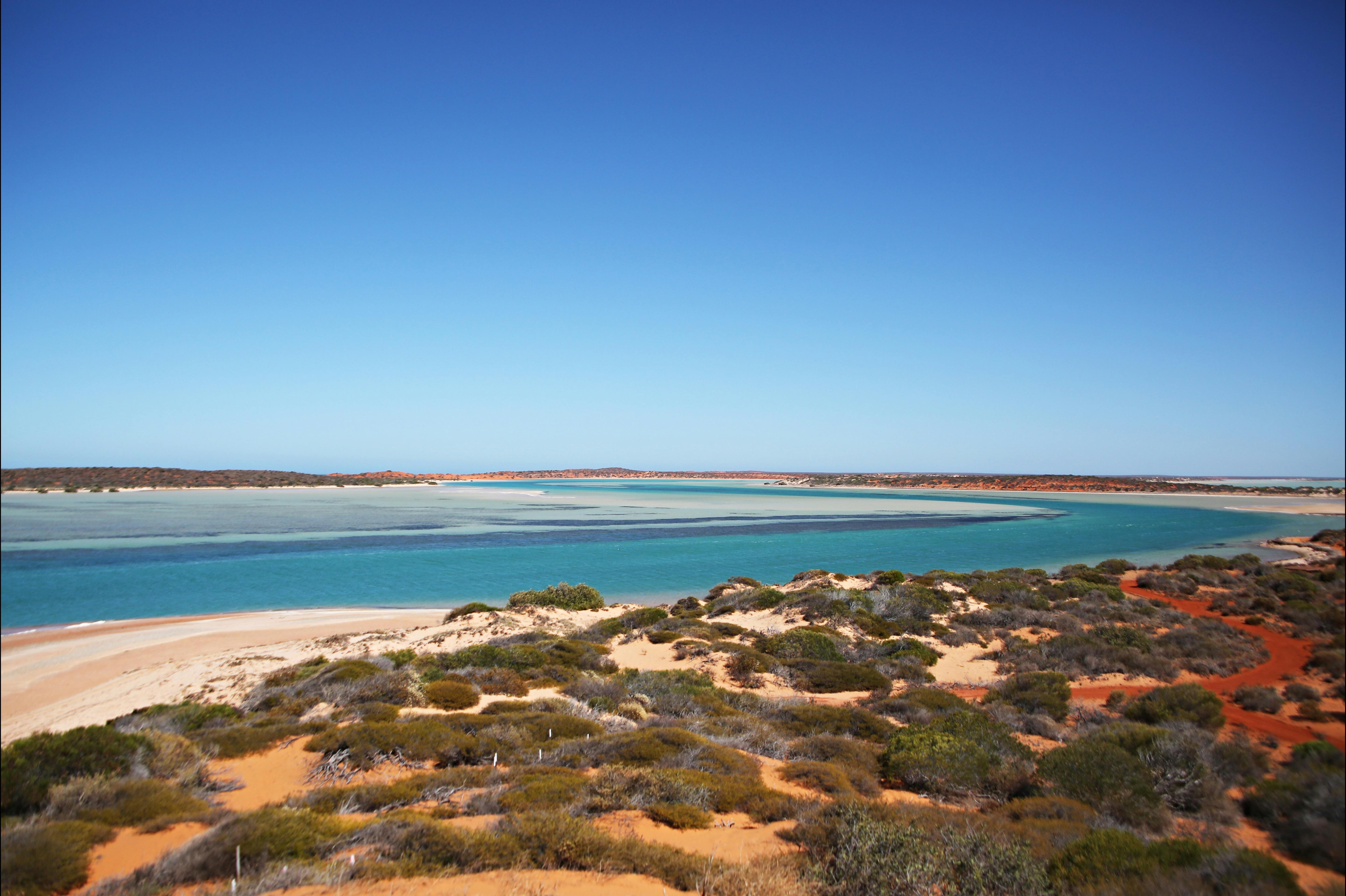 Shark Bay Coastal Tours, Denham, Western Australia