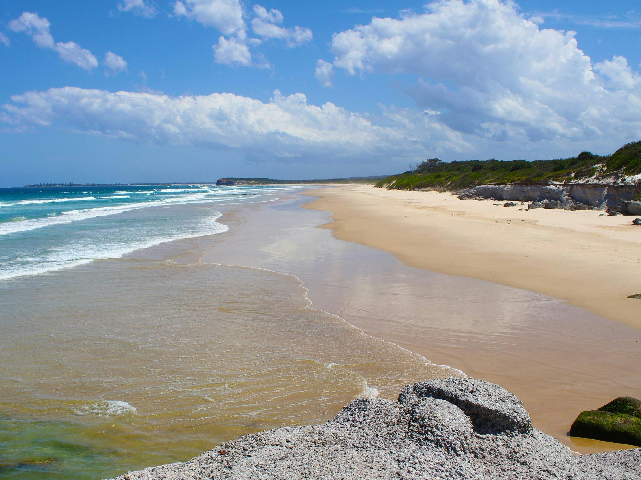 ルリマツリからレッドクリフを南に見ています。