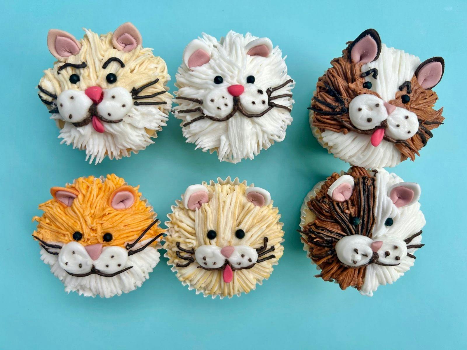 Kids Kitty Cupcakes