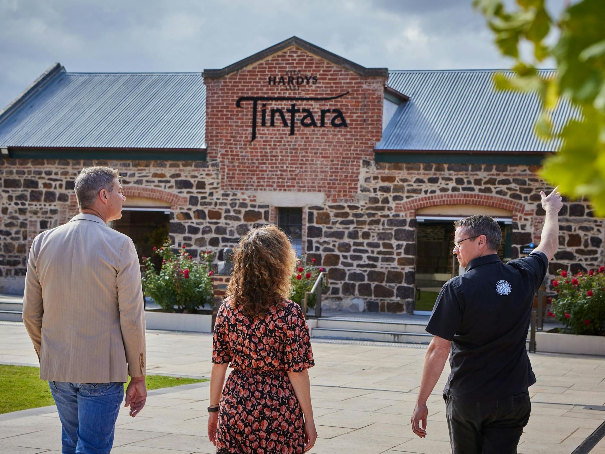 Hardys Tintara wine tour