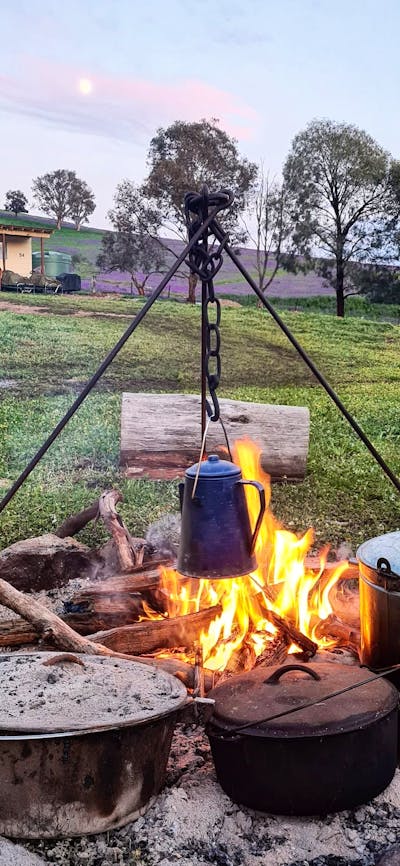 cooking over the campfire, serenity cabin in the background
