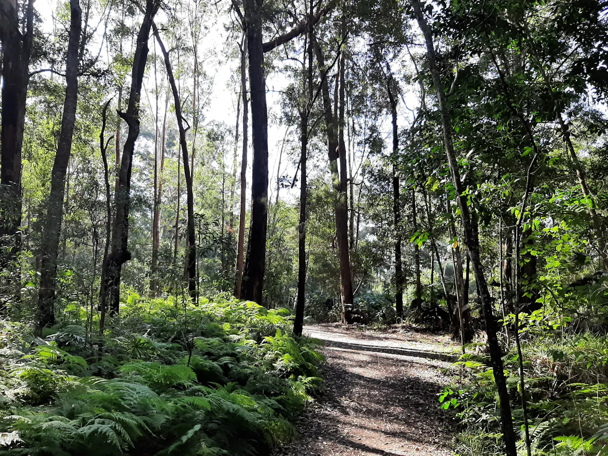 Private group Nature Connection at Mountain Creek