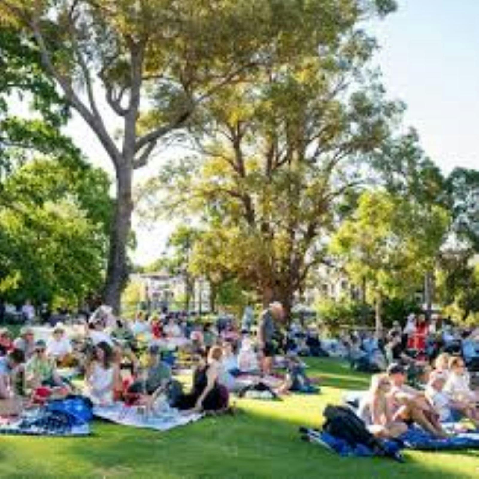 Tour Down Under Picnic