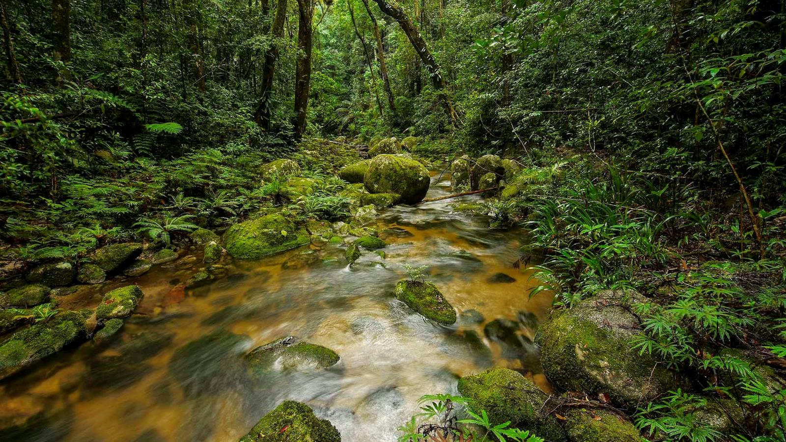 North Queensland Wildscapes Phototours