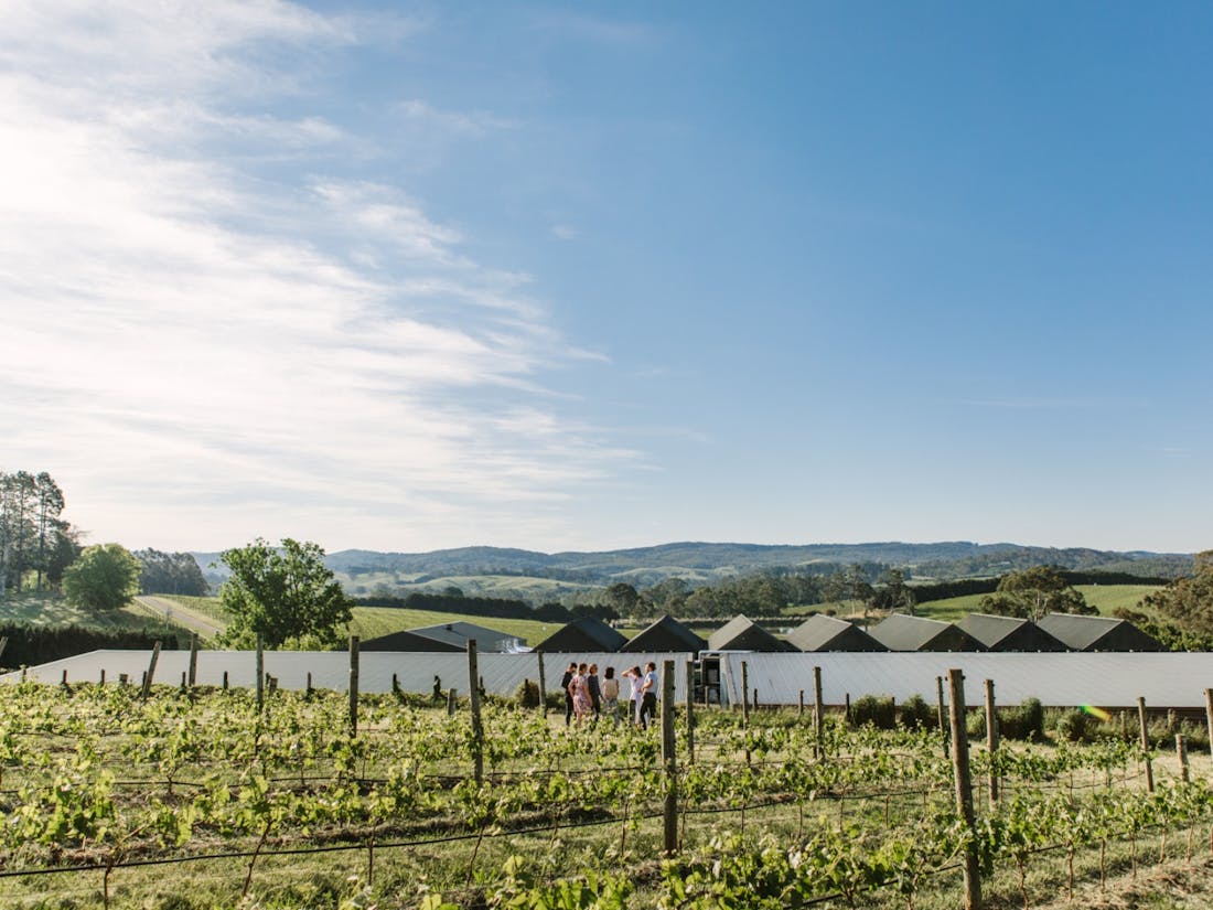 Shaw + Smith Balhannah Tour Balhannah, Tour South Australia