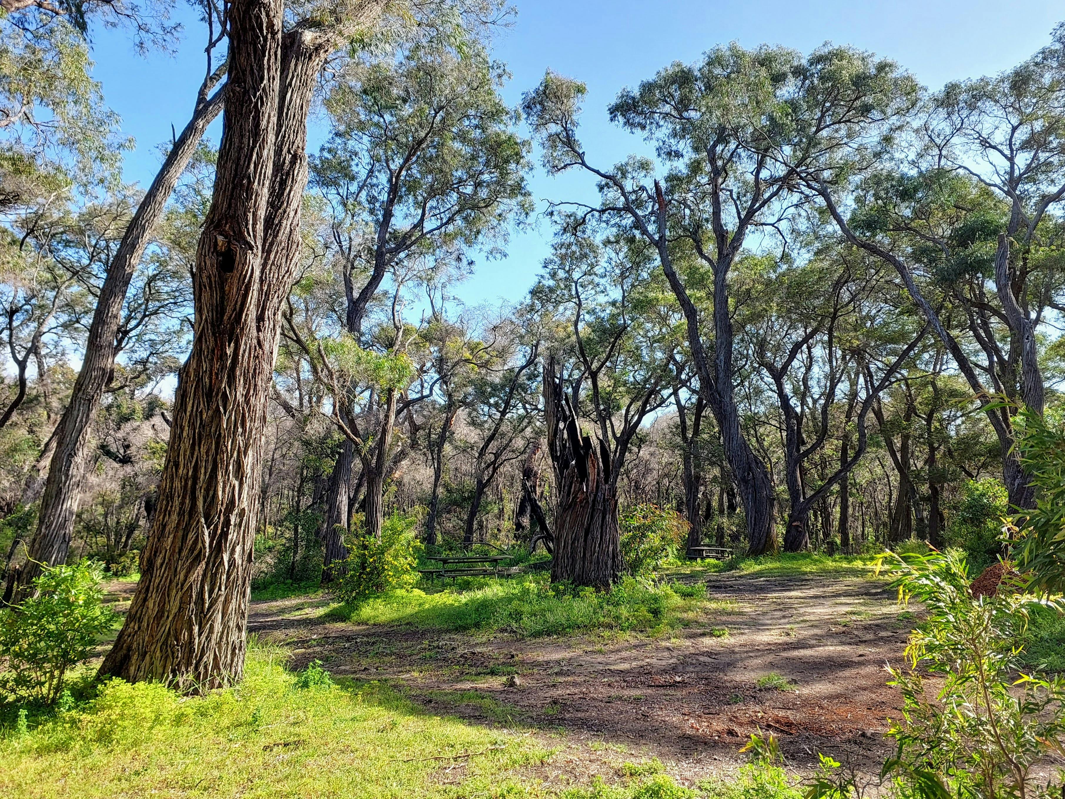 Point Road Campground
