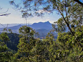 Historic Nightcap Walking Track