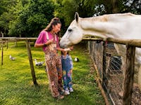 FNQ Mission beach RC Homestead Animal Farm
