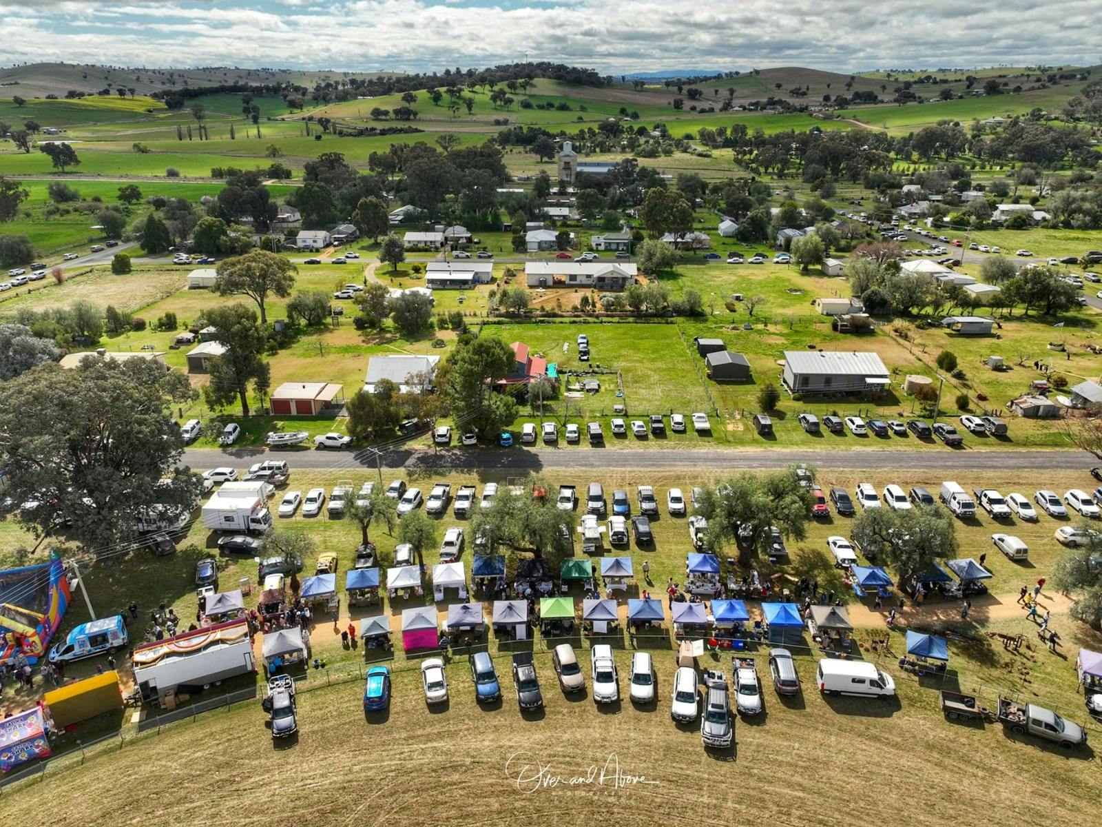 Woodstock Memorial Show