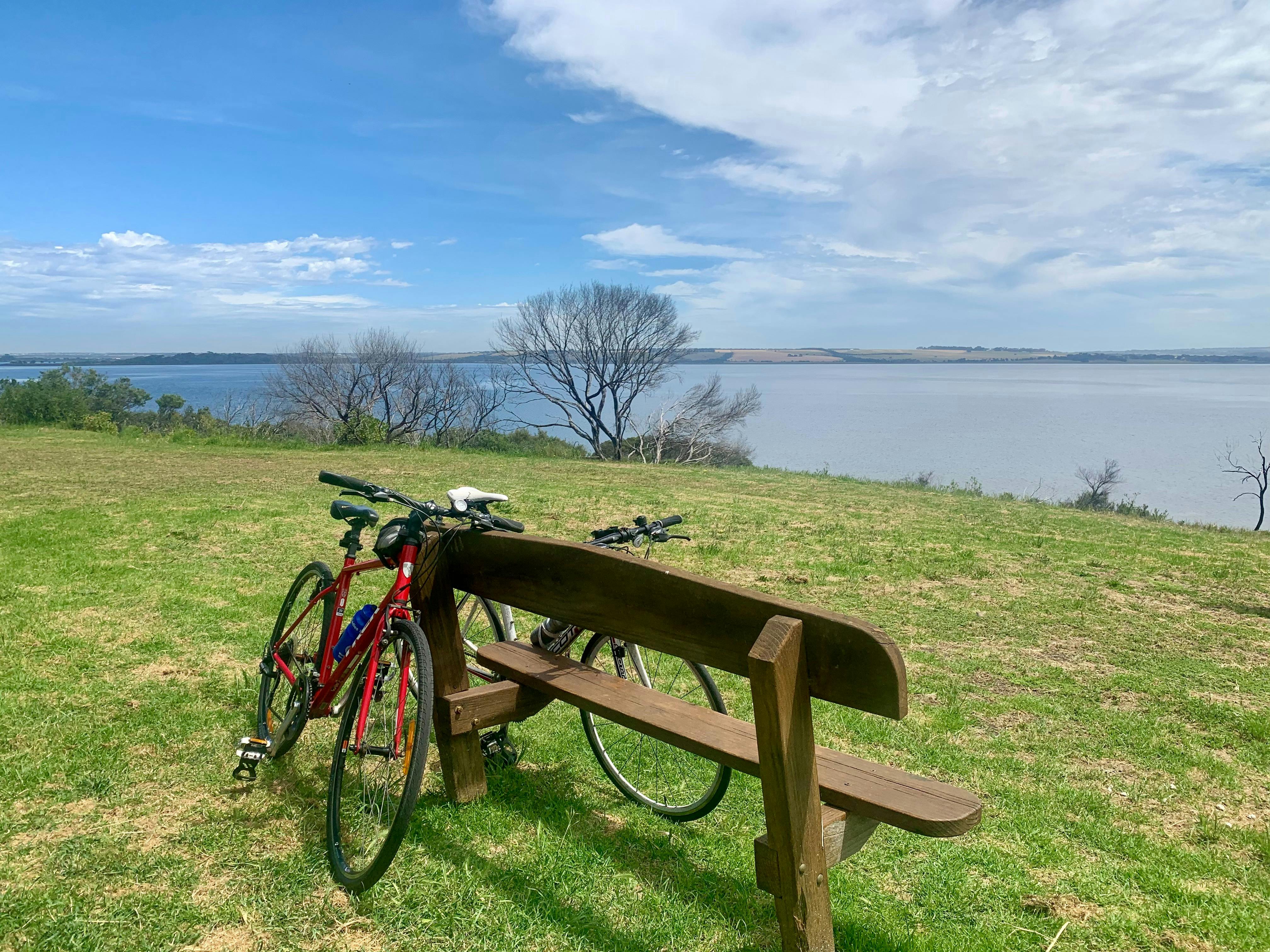 Cycling Vine Tours - Greater Geelong and The Bellarine