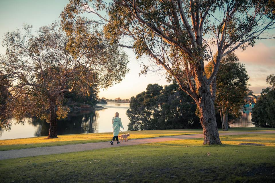 Richard Gutteridge Gardens photo