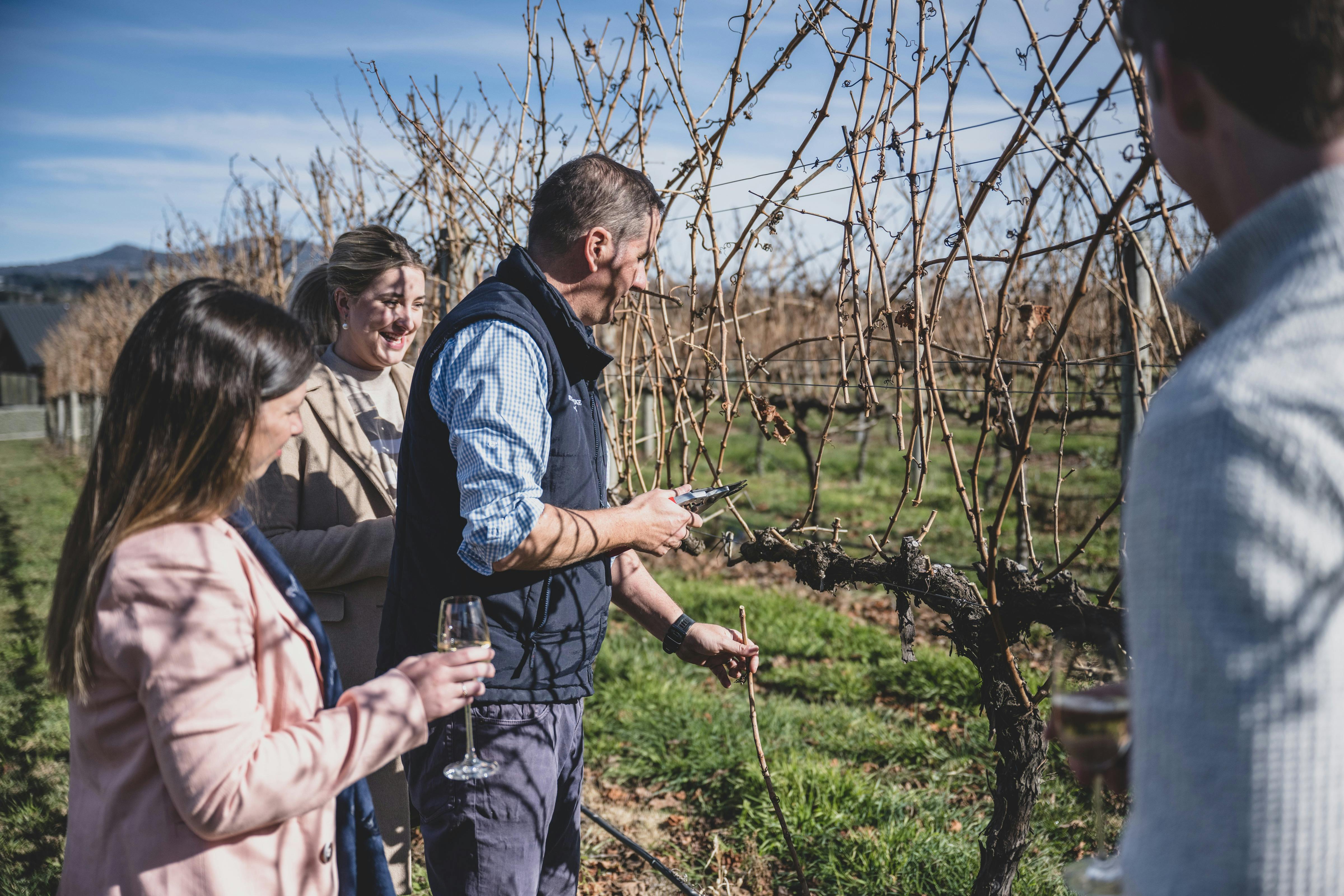 Swinging Bridge, Orange, Wine & Dine, Ultimate Winery Experiences Australia