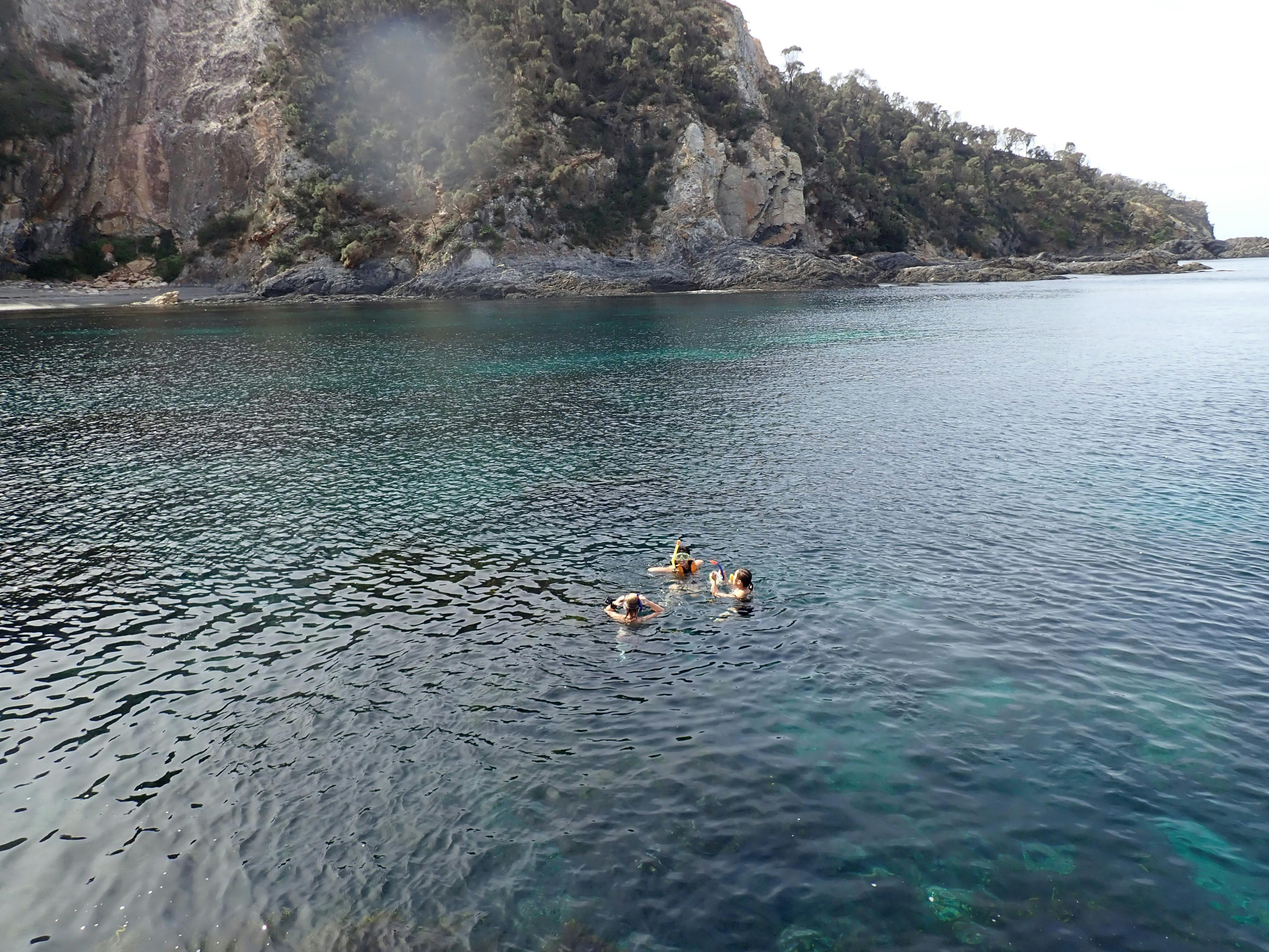 Snorkel kayak Tour Btemans Bay Region X