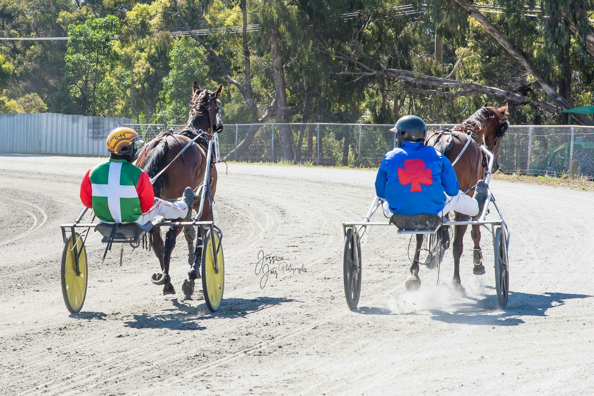Collie Harness Racing