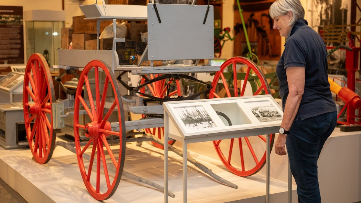 wagon