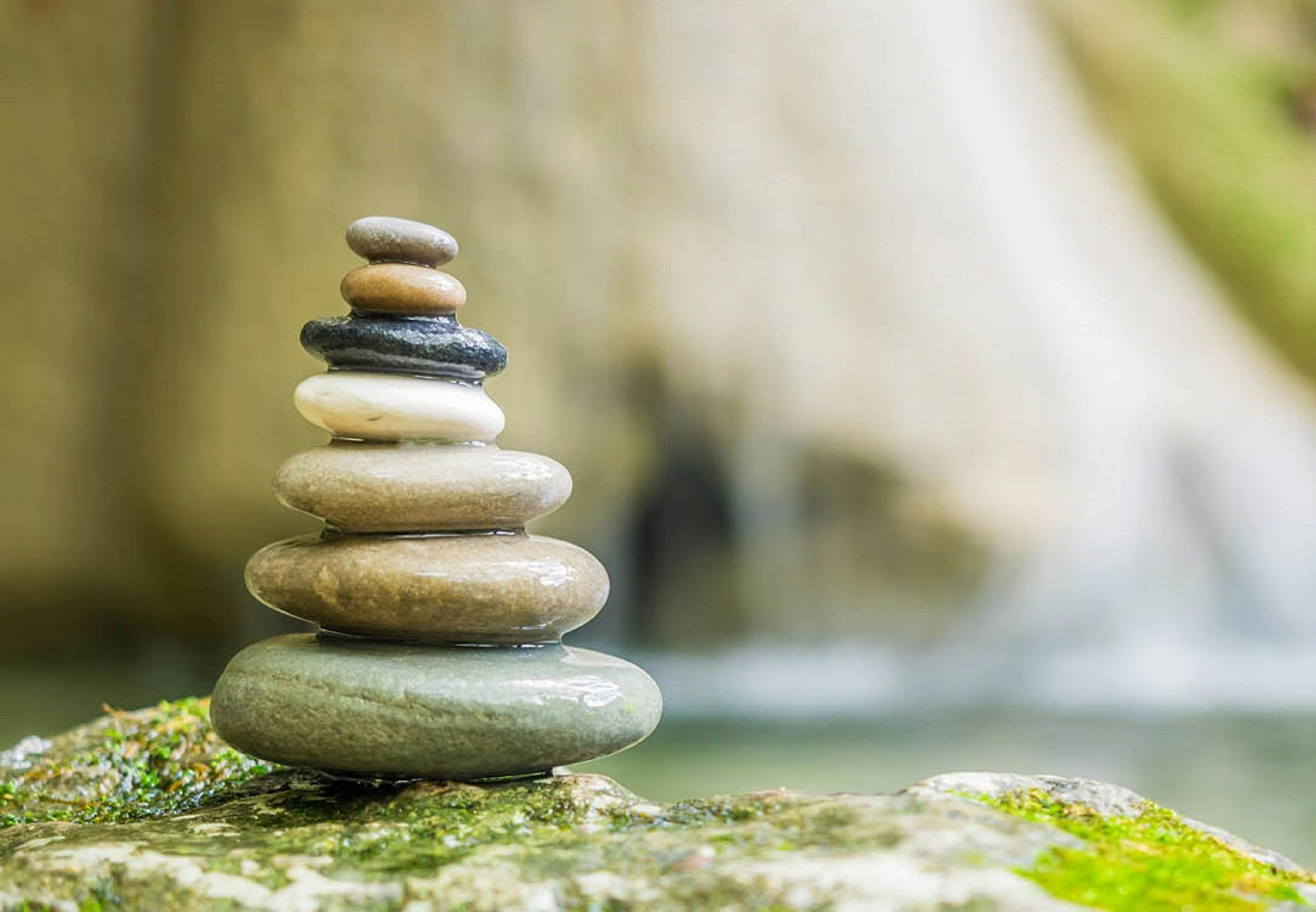 Gratitude and Contentment in Daily Life Meditation Workshop