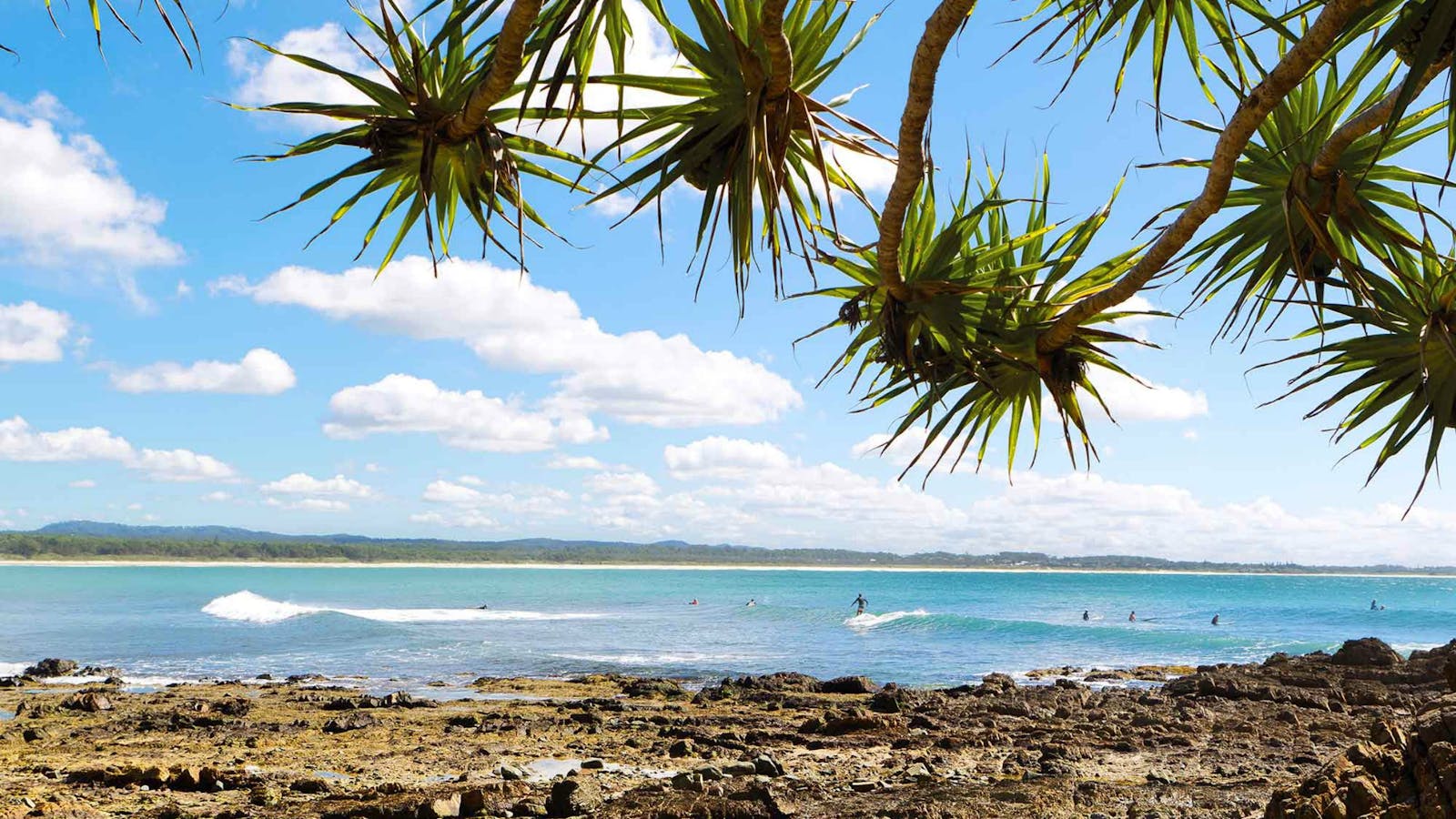 Arrawarra Headland