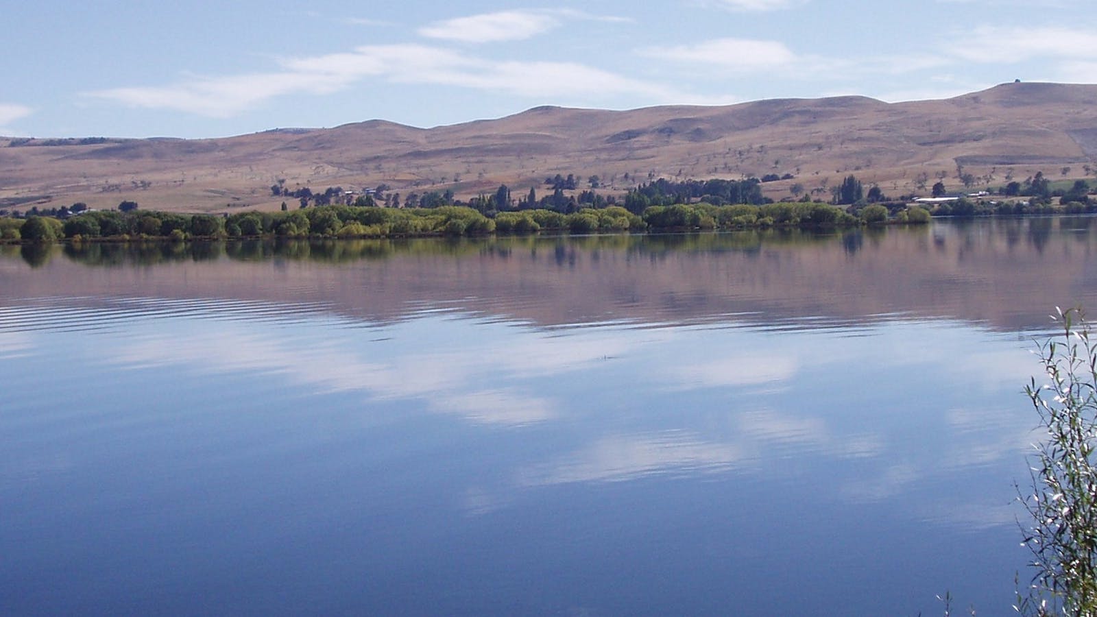 Lake Meadowbank