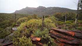 Ikara-Flinders Ranges National Park