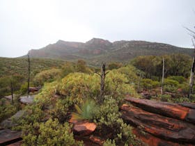 flinders-ranges