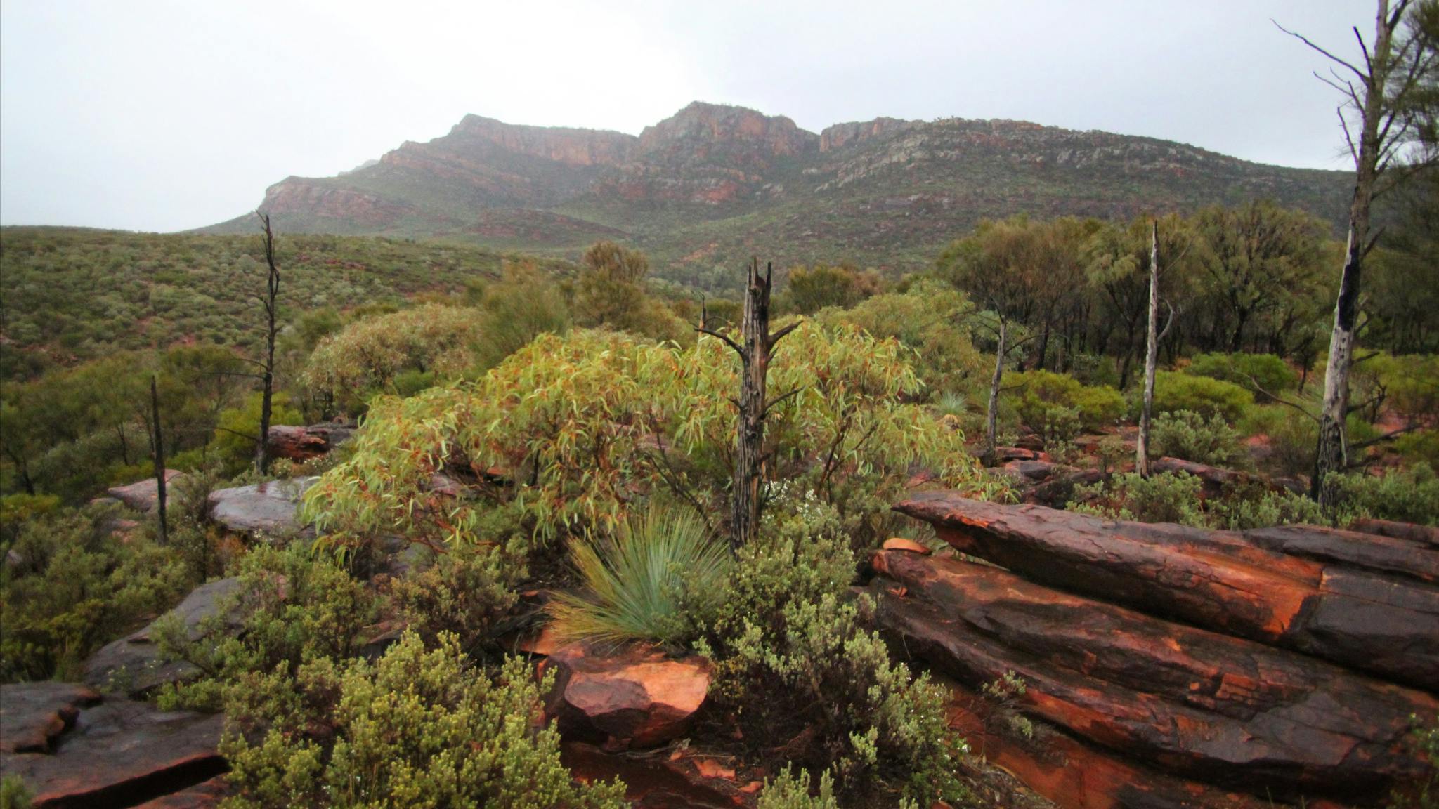 Flinders Ranges History Ikara-Flinders Ranges National Park - Flinders Ranges and Outback