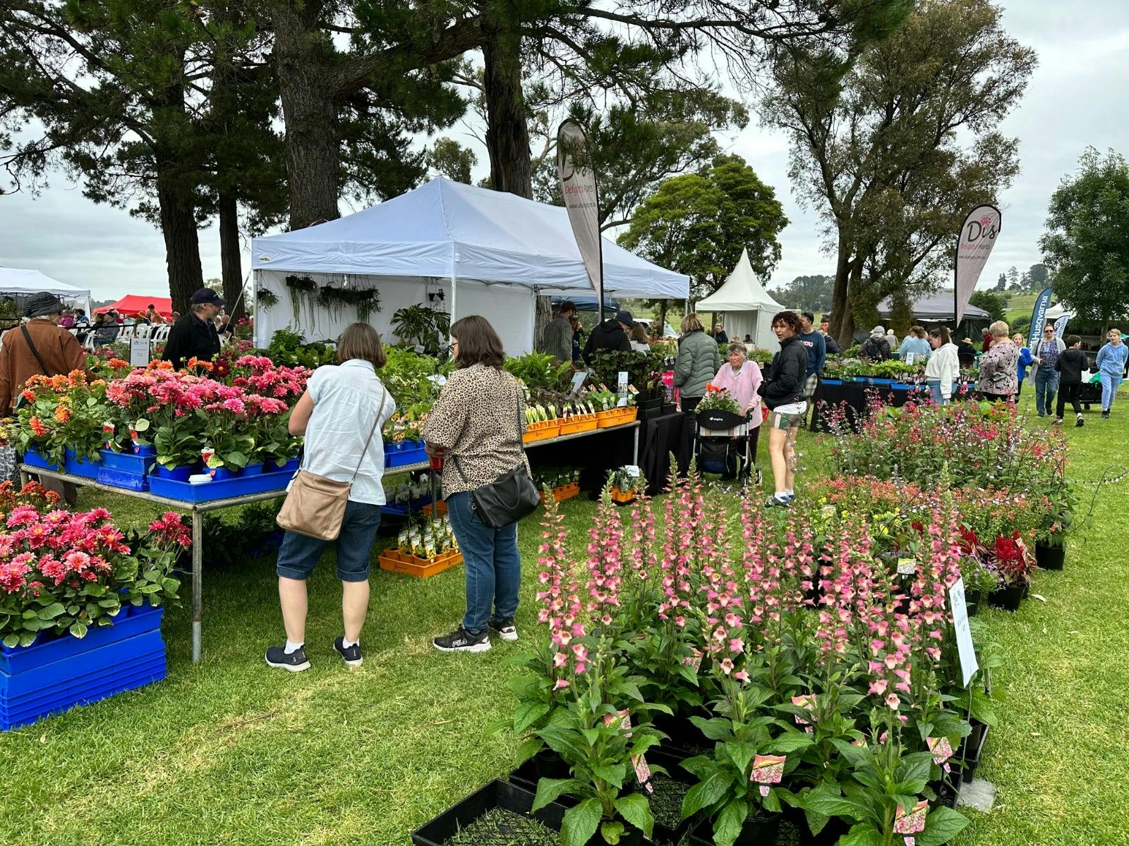 Tents and plants on display at the Yarra Valley Spring Plant Fair