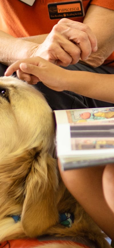 A child and volunteer patting a dog.