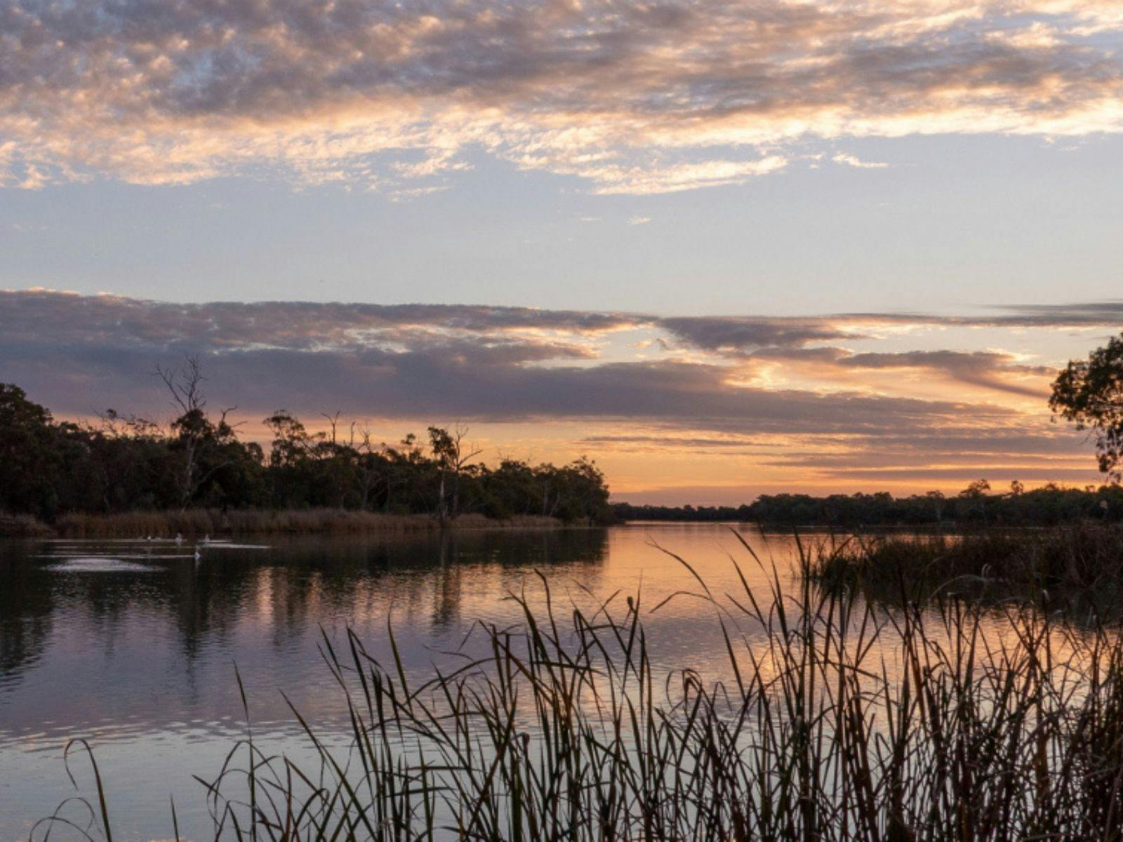 Murray River National Park