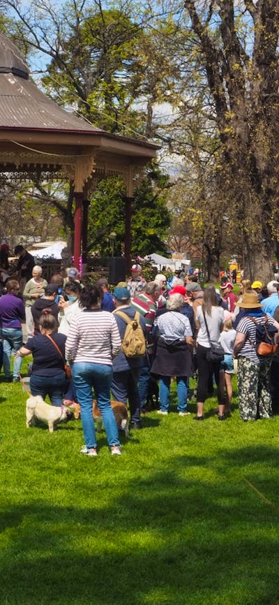 Festival turnout 2021