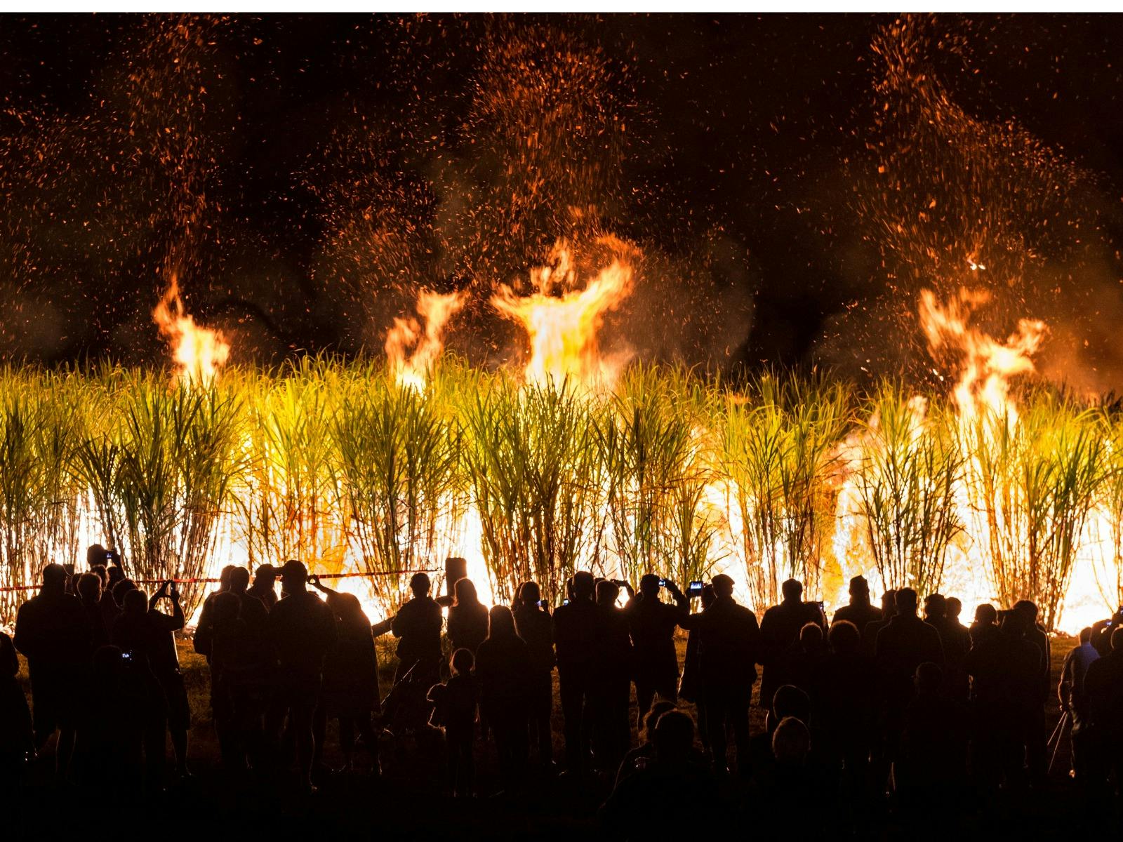 Sugar Mil and Cane Fire Tours