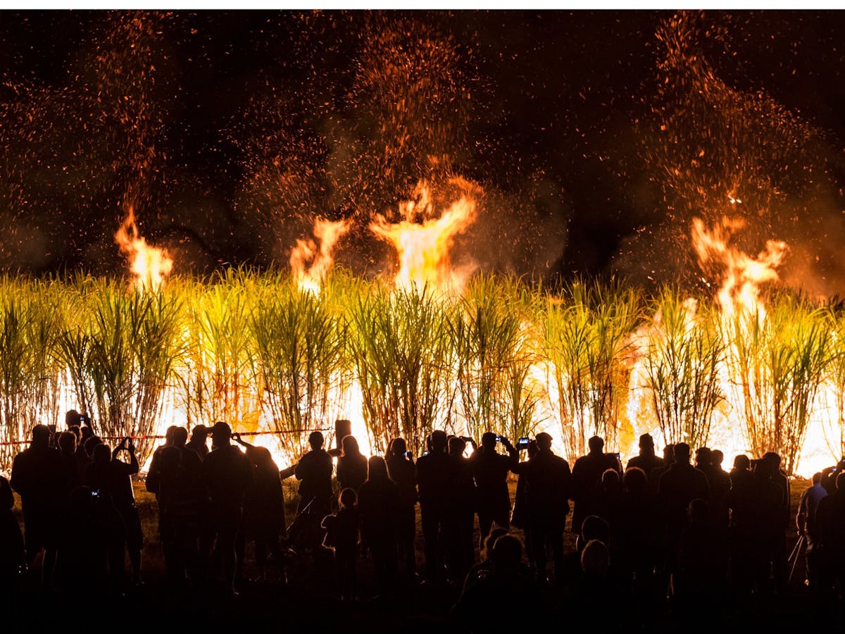 Sugar Mil and Cane Fire Tours