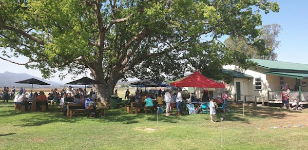 Mulgowie Farmers Market