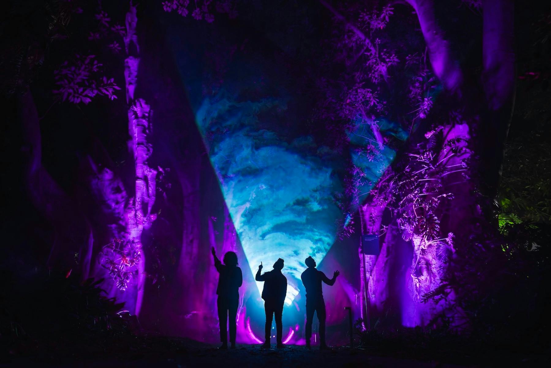 Three black human silouttes standing in a dark forrest with purple and blue lighting around them.