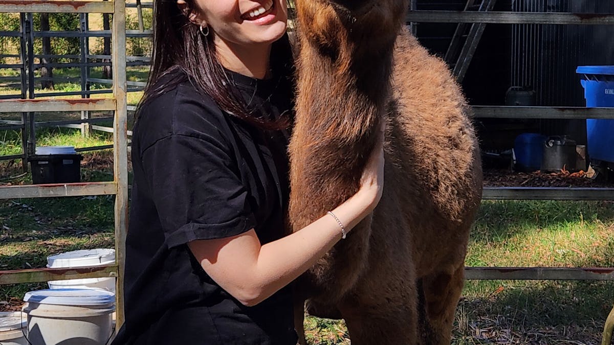 Camel cuddles