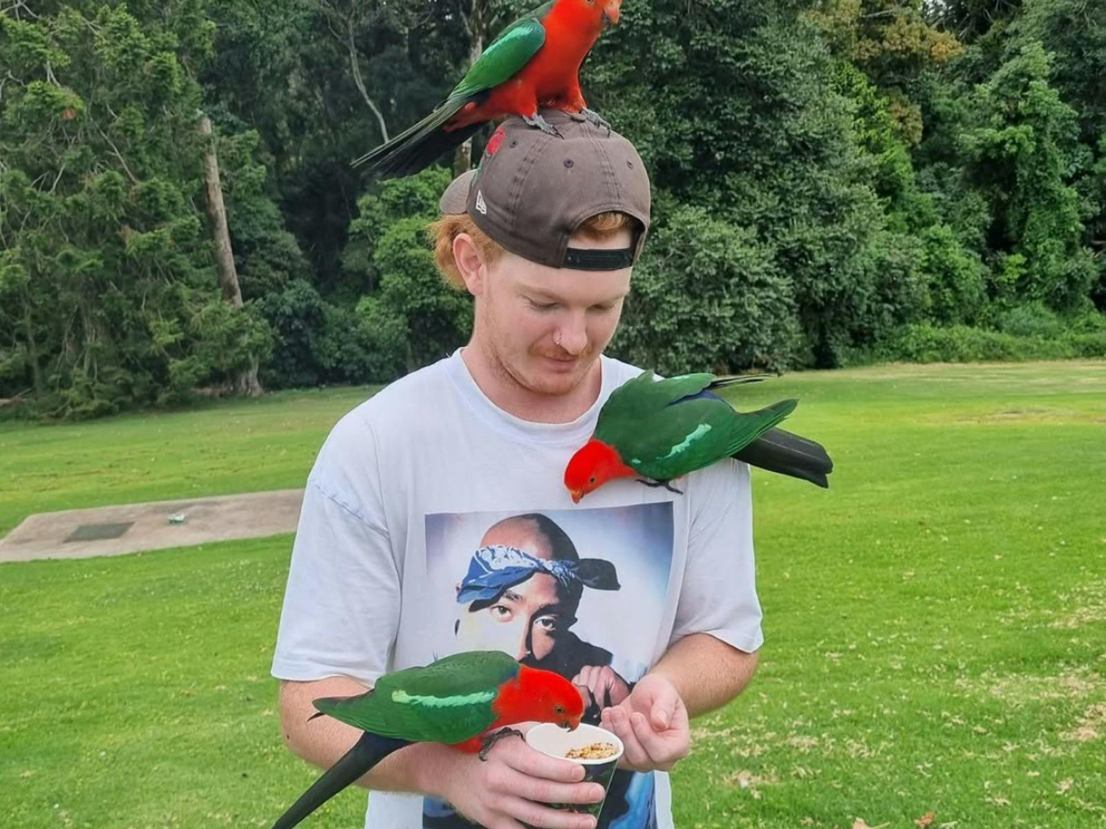 Aviary Aviary