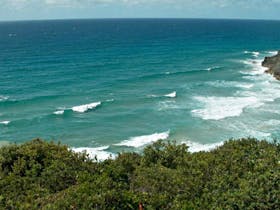Big Hill Rainforest Walking Track