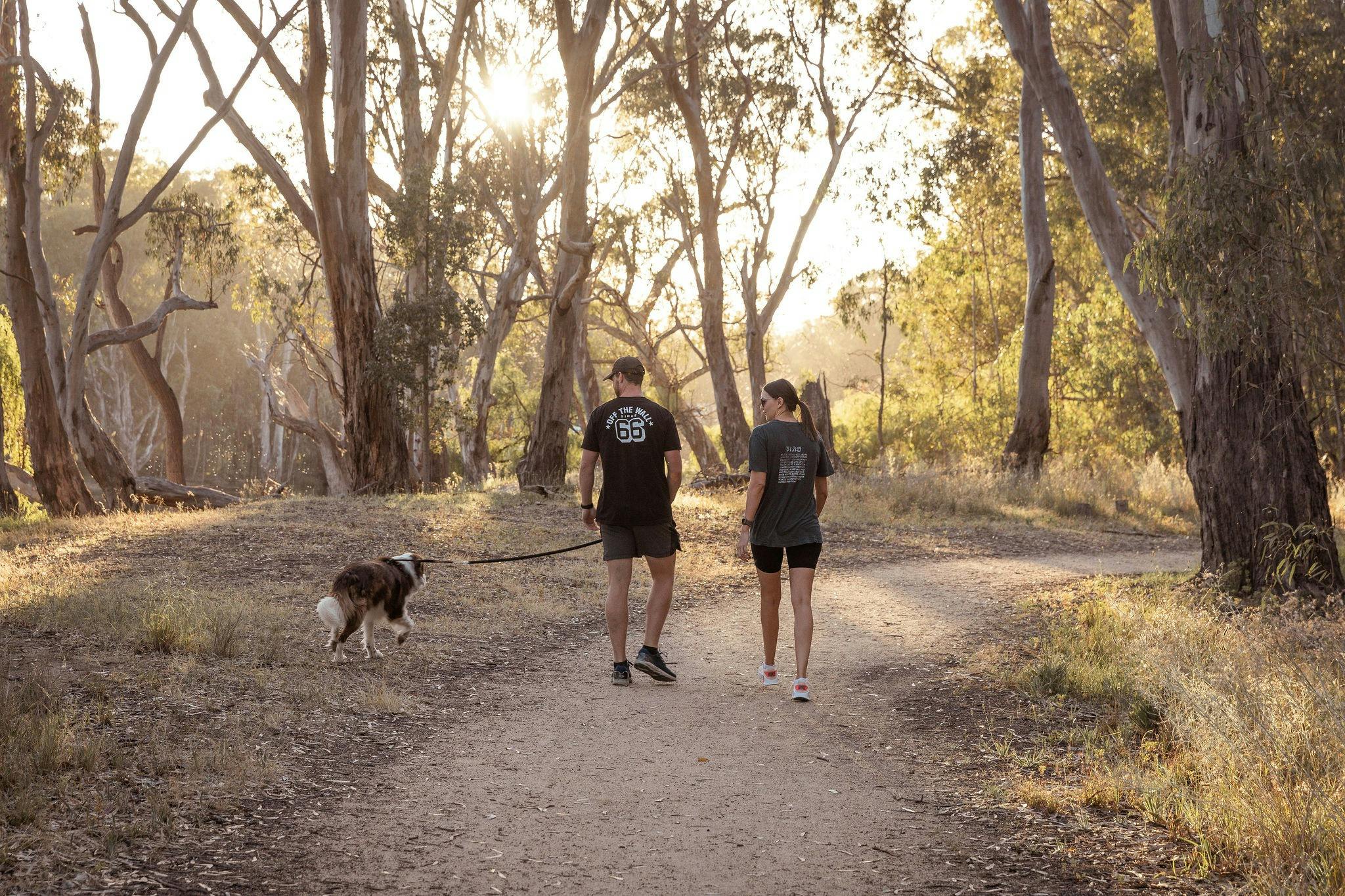 Beach to Beach Walking Track