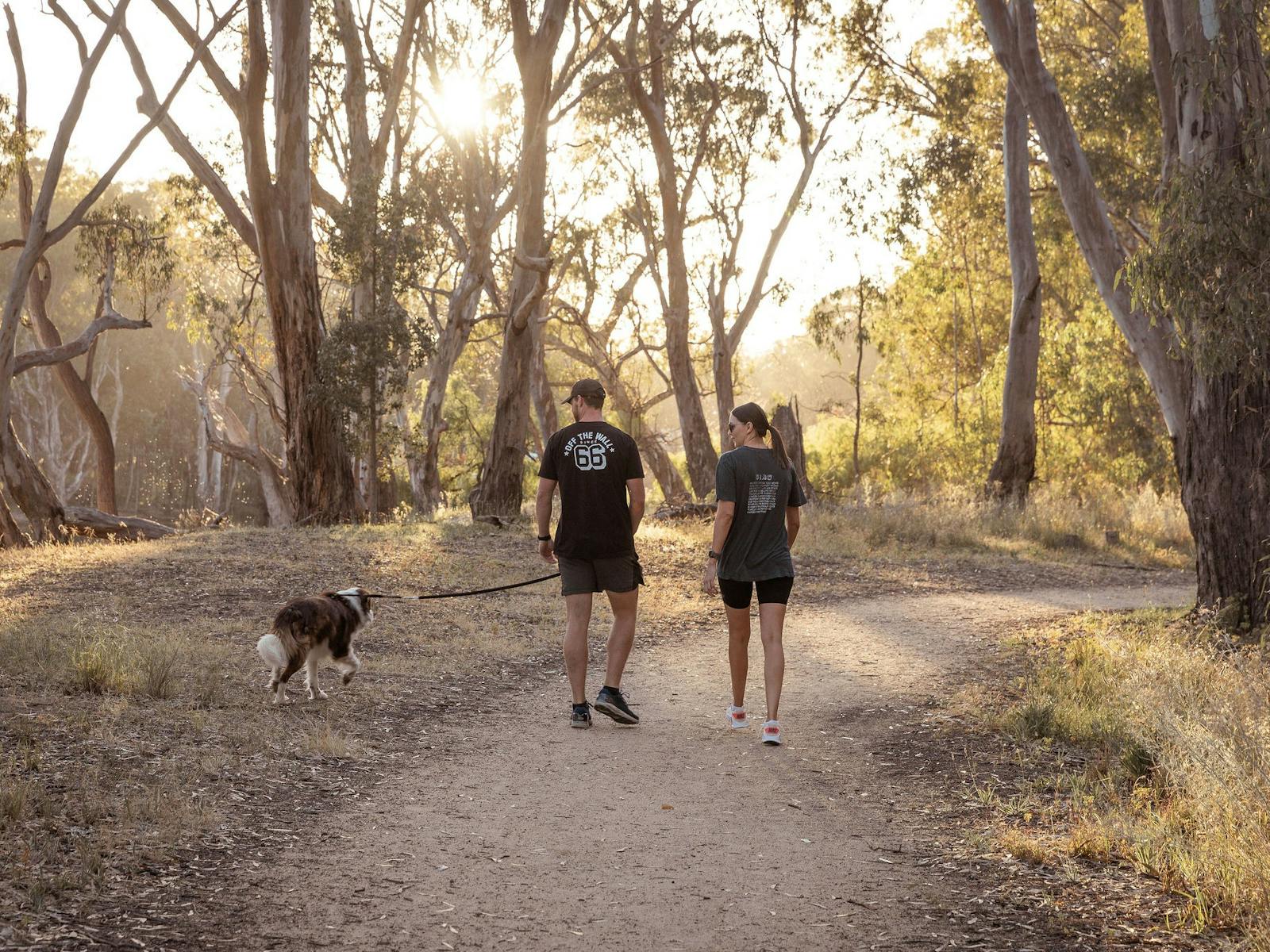 Beach to Beach Walking Track