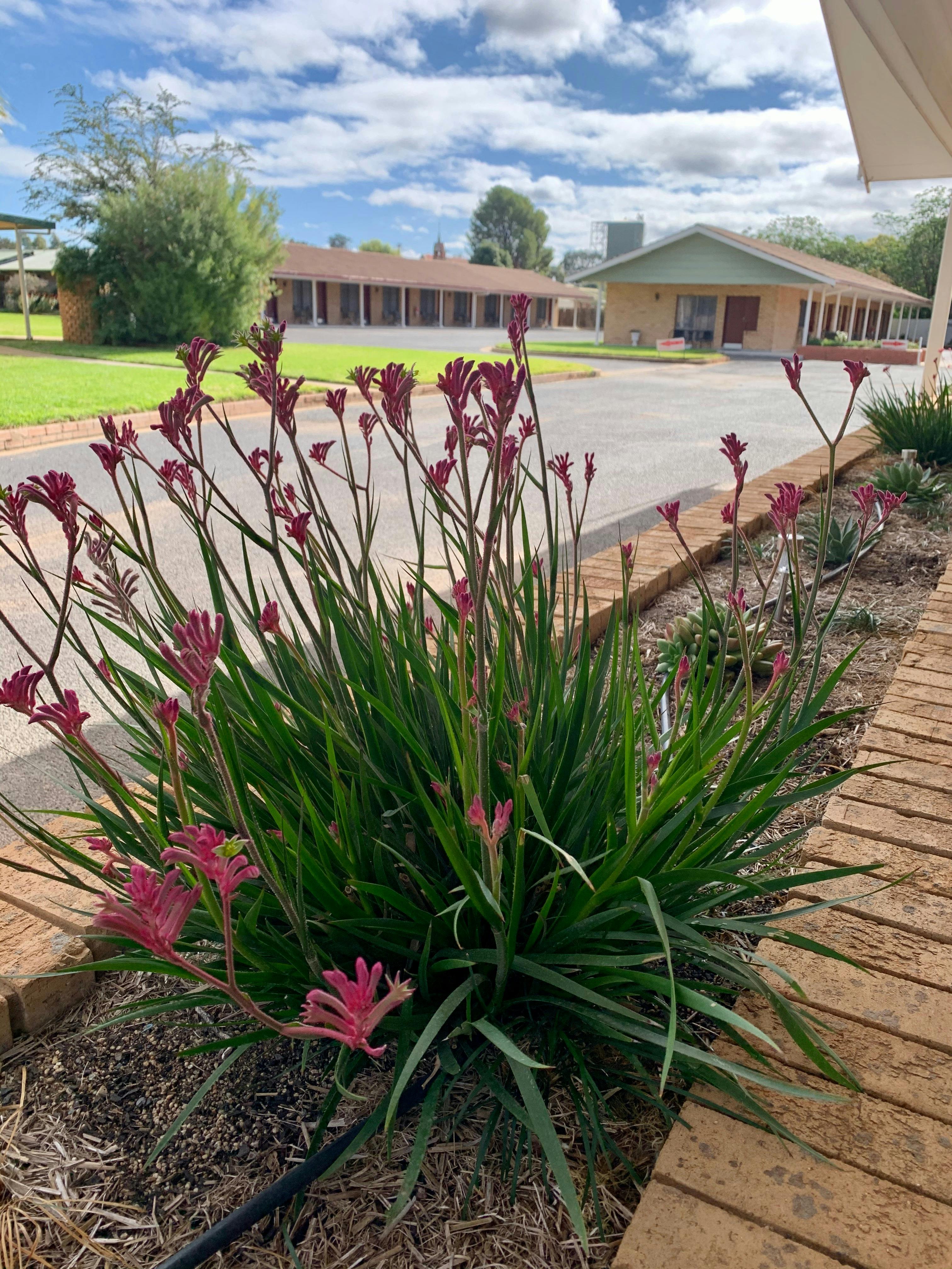 Motel and Hotel Accommodation Gilgandra