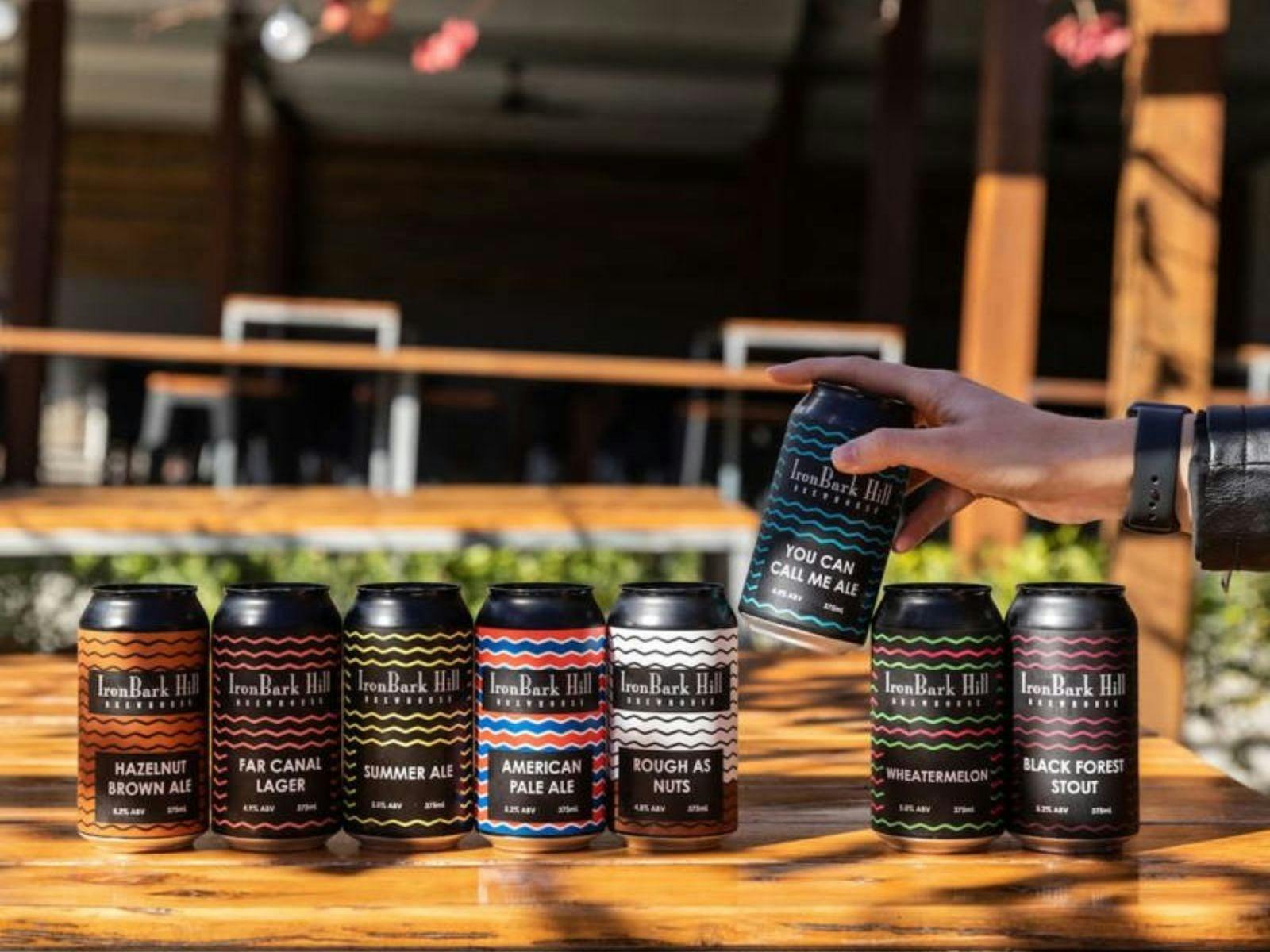 아이언바크 힐까지 헬리콥터 타기