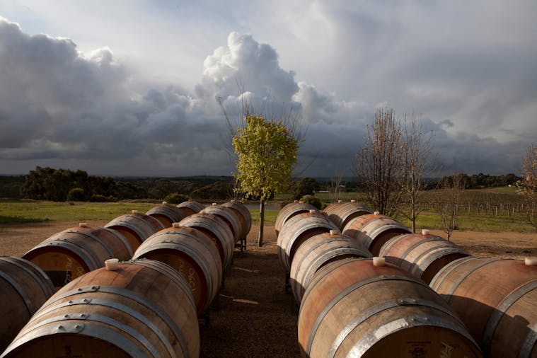Barossa Chateau Cellar Door